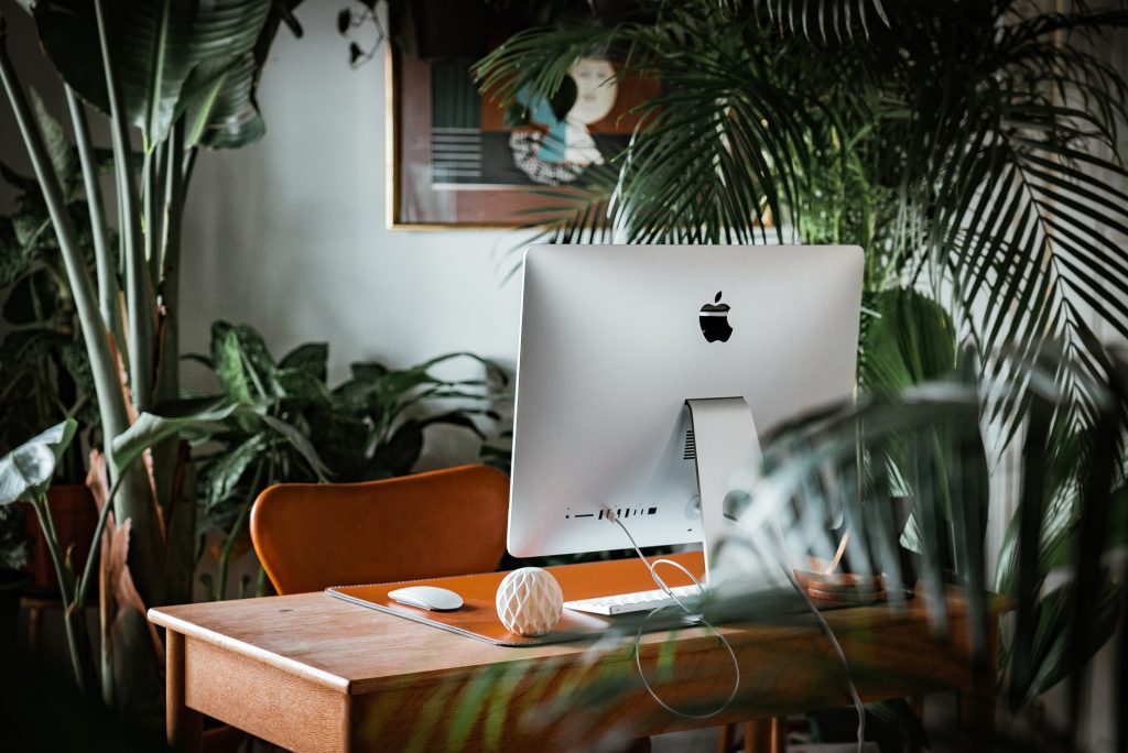 plants in office